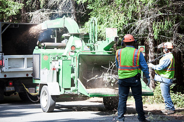 Lawn Watering Services in Elizabeth, CO